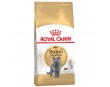 ROYAL CANIN CAT BRITISH SHORTHAIR 2K