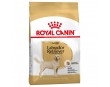 ROYAL CANIN DOG LABRADOR ADULT