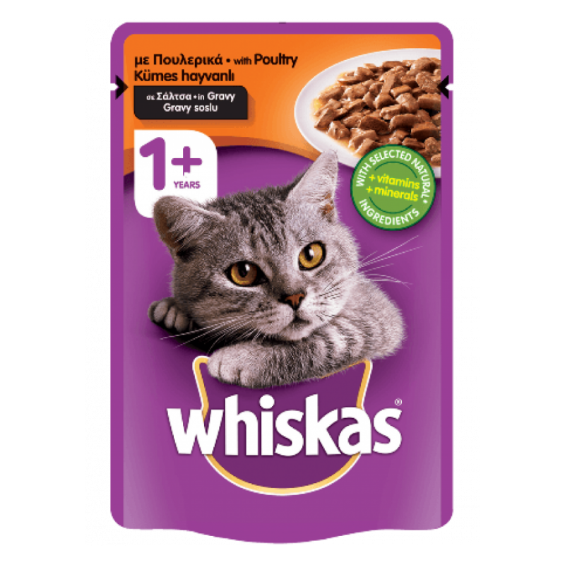 whiskas sachets