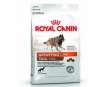 ROYAL CANIN DOG SPORT LIFE TRAIL 4300 15K