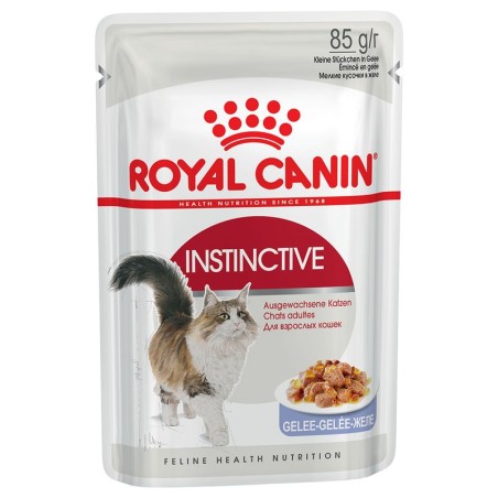 ROYAL CANIN ΦΑΚΕΛΑΚΙ CAT INST  ADULT JELLY 85GR