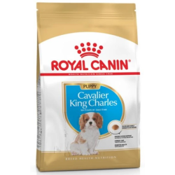 ROYAL CANIN DOG KING CHARLES PUPPY 1.5K