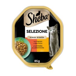 SHEBA ΔΙΣΚΑΚΙ...