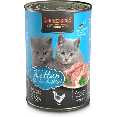 LEONARDO CAT KITTEN POULTRY