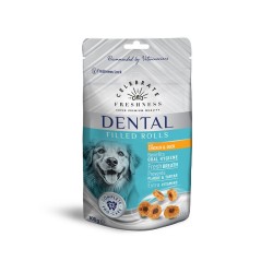 CELEBRATE DENTAL FILLED...