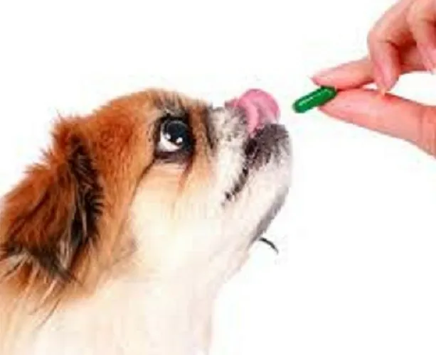 ΣΥΜΠΛΗΡΩΜΑΤΑ ΔΙΑΤΡΟΦΗΣ