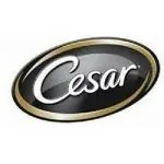 CESAR