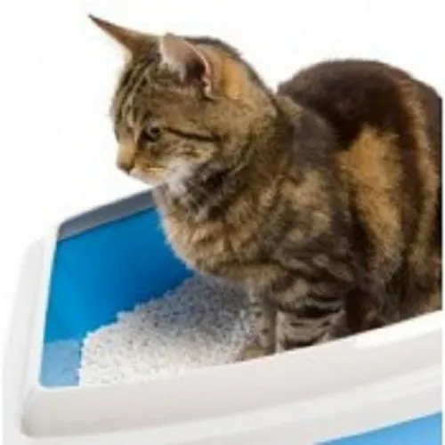 ΑΜΜΟΙ ΥΓΙΕΙΝΗΣ