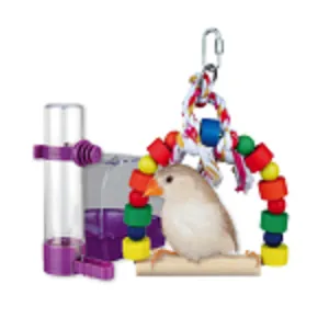 ΑΞΕΣΟΥΑΡ ΚΛΟΥΒΙΩΝ