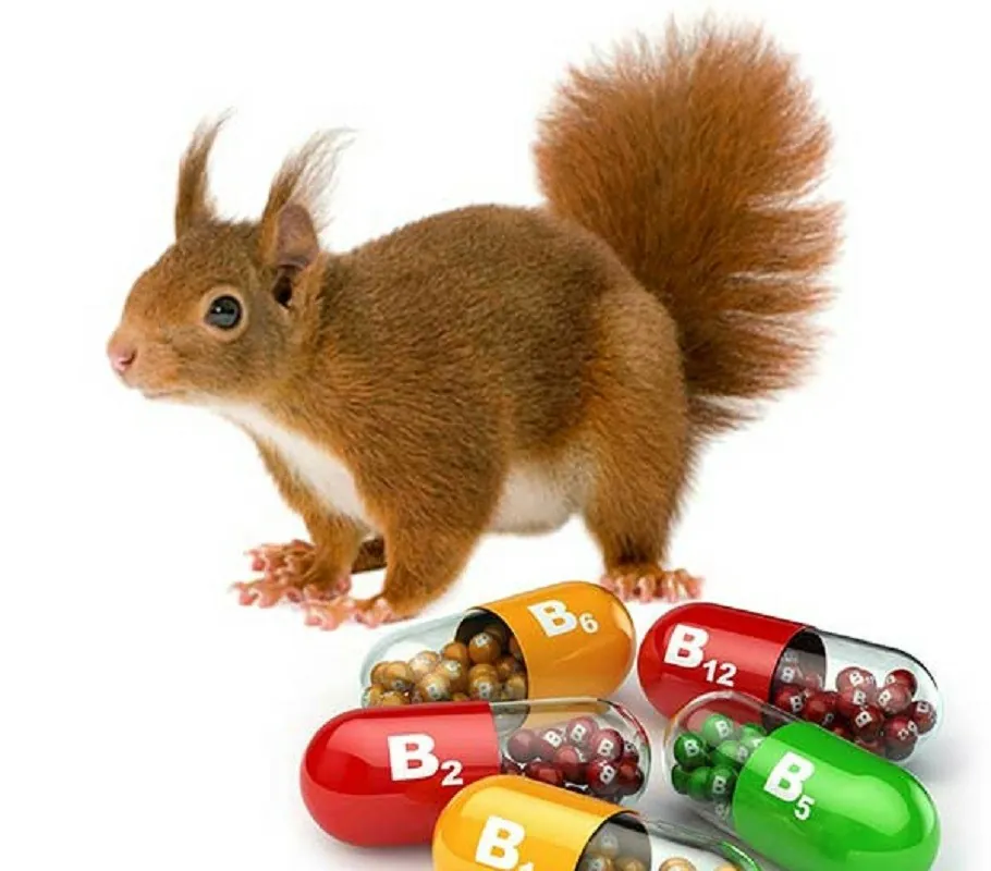 ΣΥΜΠΛΗΡΩΜΑΤΑ ΔΙΑΤΡΟΦΗΣ - ΒΙΤΑΜΙΝΕΣ