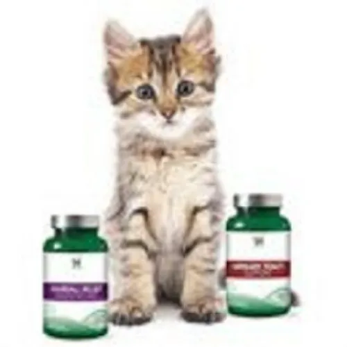 ΣΥΜΠΛΗΡΩΜΑΤΑ ΔΙΑΤΡΟΦΗΣ