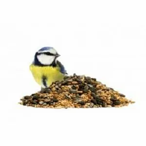 ΤΡΟΦΕΣ ΠΟΥΛΙΩΝ