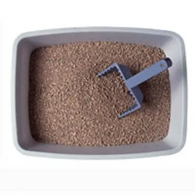 ΜΠΕΤΟΝΙΤΕΣ