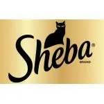 SHEBA
