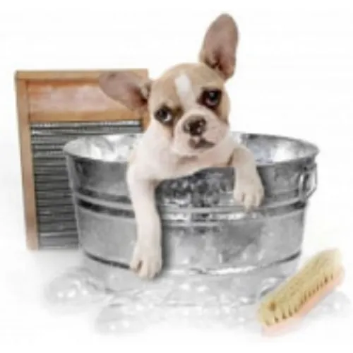 ΕΙΔΗ ΠΕΡΙΠΟΙΗΣΗΣ - ΥΓΙΕΙΝΗ