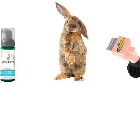 ΕΙΔΗ ΠΕΡΙΠΟΙΗΣΗΣ - ΥΓΙΕΙΝΗ