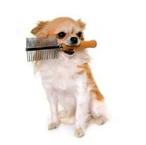 ΒΟΥΡΤΣΕΣ - ΧΤΕΝΕΣ - ΓΑΝΤΙΑ