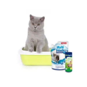 ΚΑΘΑΡΙΟΤΗΤΑ