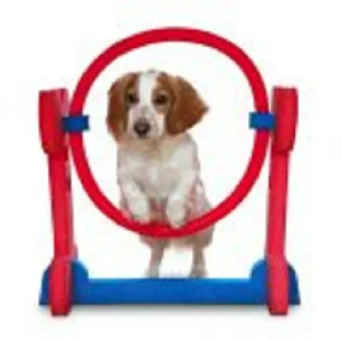 ΕΙΔΗ ΕΚΠΑΙΔΕΥΣΗΣ