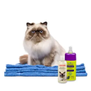 ΣΑΜΠΟΥΑΝ - CONDITIONER