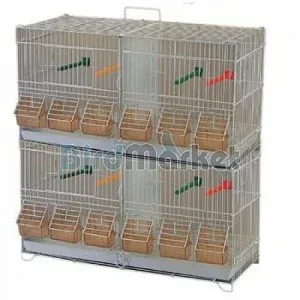 ΖΕΥΓΑΡΩΣΤΡΕΣ