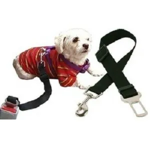 ΠΡΟΣΤΑΣΙΑ ΑΥΤΟΚΙΝΗΤΟΥ