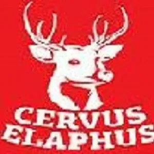 CERVUS ELAPHUS