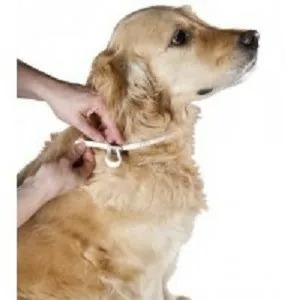 ΠΕΡΙΛΑΙΜΙΑ