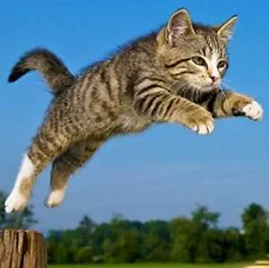 ΛΟΙΠΑ ΣΥΜΠΛΗΡΩΜΑΤΑ