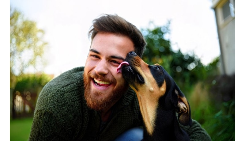 8 λόγοι που οι σκύλοι γλείφουν τους ανθρώπους