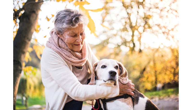 Γιατί τα χρυσά σου χρόνια φωτίζονται από την παρουσία ενός σκύλου; (Μέρος 2ο)