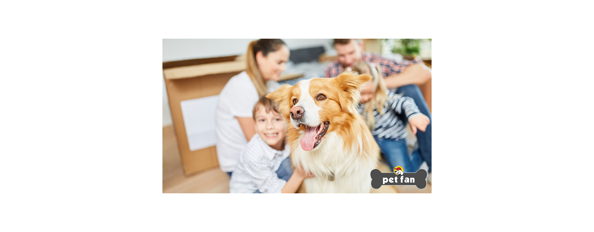 Σκύλος για σπίτι : Ποιες ράτσες είναι οι ιδανικές για την οικογένεια;