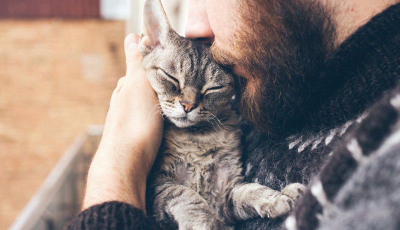 Καταλαβαίνουν οι γάτες τα φιλιά μας;