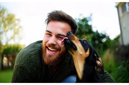 8 λόγοι που οι σκύλοι γλείφουν τους ανθρώπους