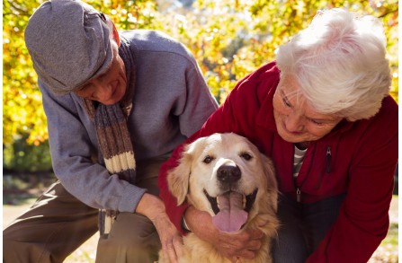 Γιατί τα χρυσά σου χρόνια φωτίζονται από την παρουσία ενός σκύλου; (Μέρος 1ο)