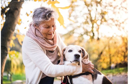 Γιατί τα χρυσά σου χρόνια φωτίζονται από την παρουσία ενός σκύλου; (Μέρος 2ο)