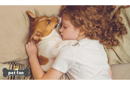 Ύπνος παρέα με τον σκύλο; Τα Υπέρ και τα κατά αυτής της απόφασης