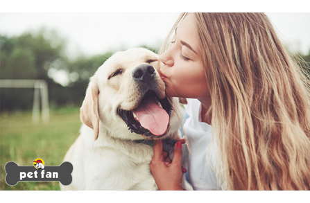 46 τρόποι για να δείξεις στο σκύλο σου ότι τον αγαπάς
